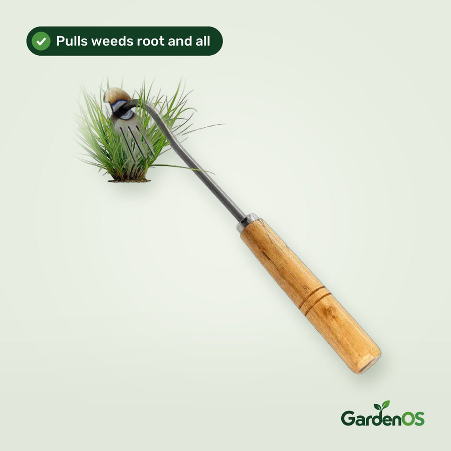 4-prong root weeder for pulling dandelions and weeds by the root