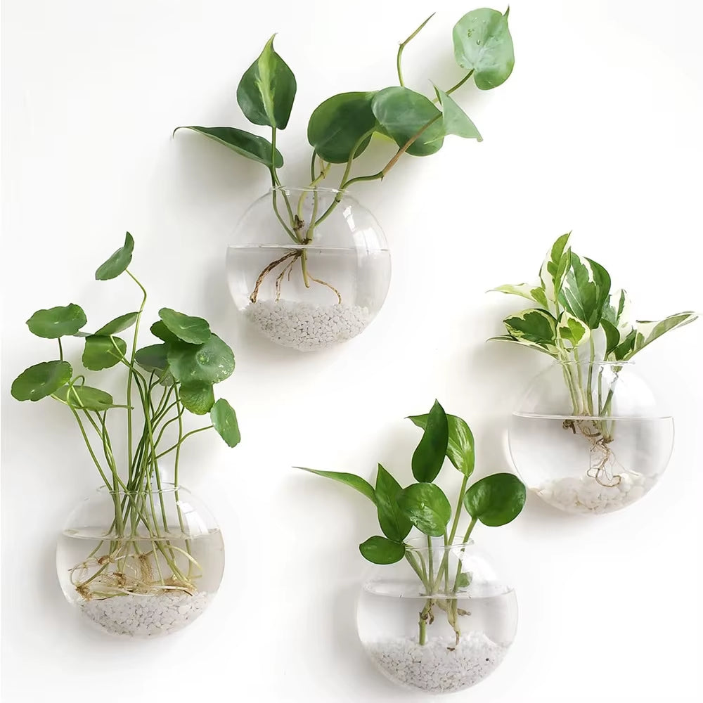 Wall Hanging Glass Plant Terrarium Container Propagation Station Wall-Mounted Flower Vases Air Plant Terrarium Home Office Decor