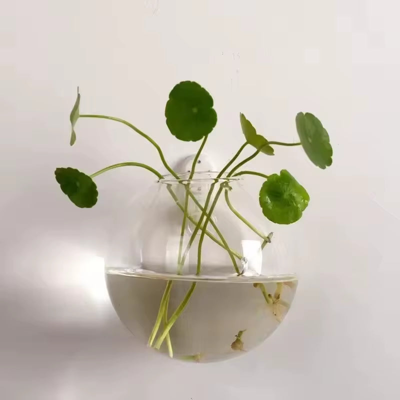 Wall Hanging Glass Plant Terrarium Container Propagation Station Wall-Mounted Flower Vases Air Plant Terrarium Home Office Decor