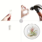 Wall Hanging Glass Plant Terrarium Container Propagation Station Wall-Mounted Flower Vases Air Plant Terrarium Home Office Decor