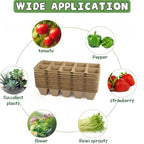 240-Cell Seed Starter Trays | 24-Pack