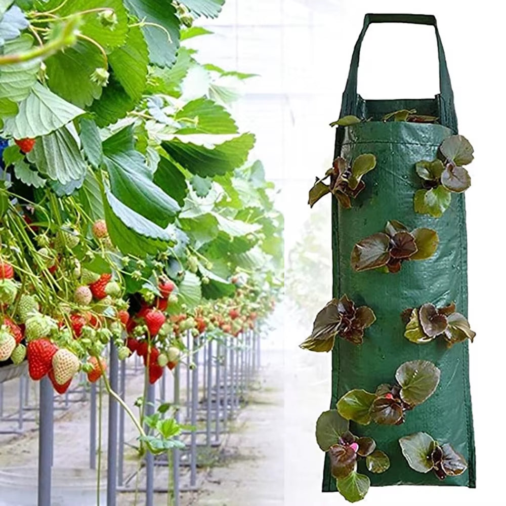 6/8/10 Holes Hanging Strawberry Planting Bag Vertical Garden PE Flower Grow Bag Flower Vegetable Planter Indoor Outdoor Decor