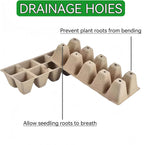 240-Cell Seed Starter Trays | 24-Pack