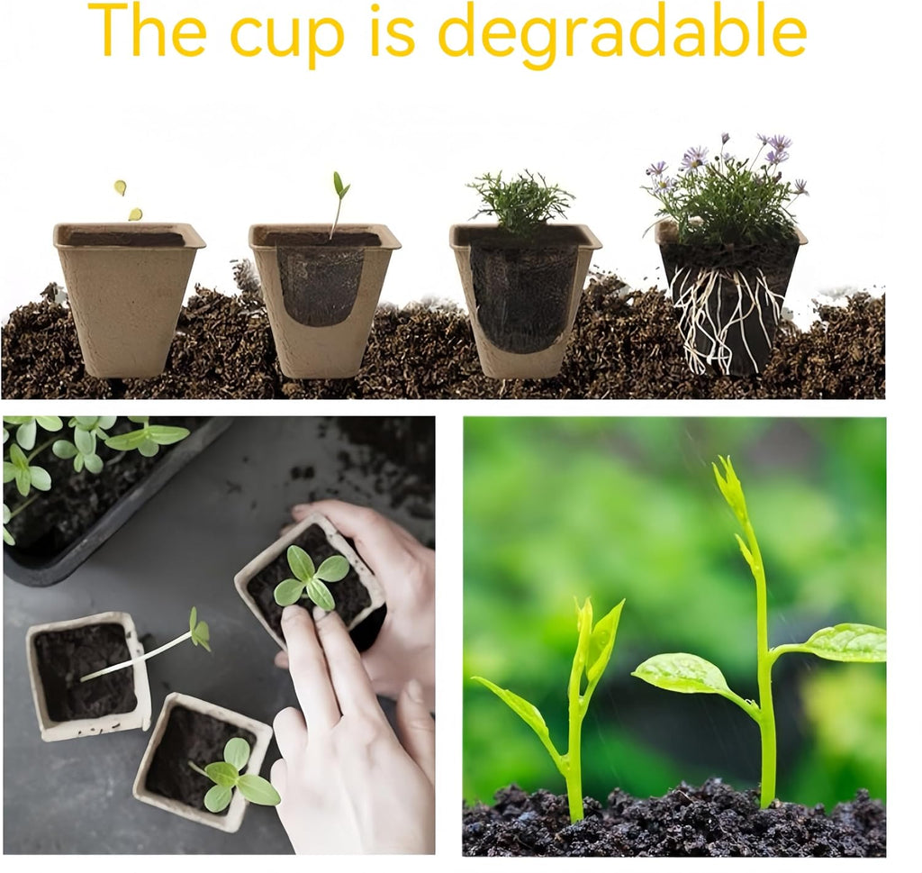 240-Cell Seed Starter Trays | 24-Pack