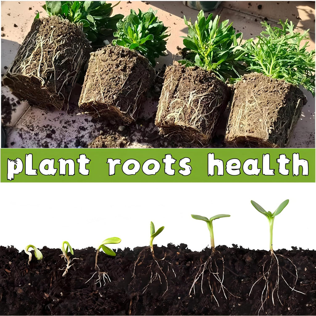 240-Cell Seed Starter Trays | 24-Pack