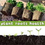240-Cell Seed Starter Trays | 24-Pack