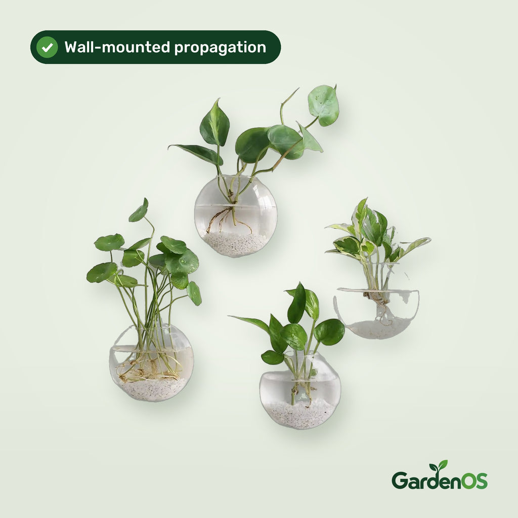 GardenOS wall-mounted glass propagation vases with cuttings